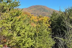 00 Birkdale Dr, Mill Spring, NC 28756 - Photo 4