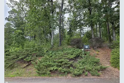 219 Luberon Lane, Travelers Rest, SC 29690 - Photo 2