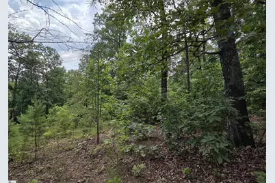 219 Luberon Lane, Travelers Rest, SC 29690 - Photo 8