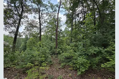 219 Luberon Lane, Travelers Rest, SC 29690 - Photo 6