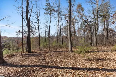 219 Luberon Lane, Travelers Rest, SC 29690 - Photo 18