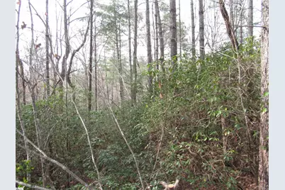 213 Falcon Crest Way, Pickens, SC 29671 - Photo 4