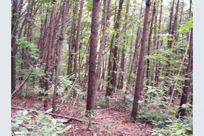 343 Gauley Falls Road #Lot 87 Gauley Falls, Pickens, SC 29671 - Photo 1