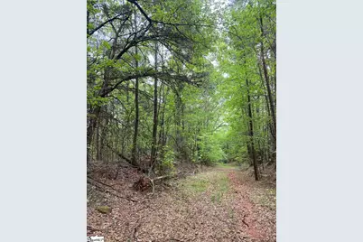 00 Wingo Road, Wellford, SC 29385 - Photo 1