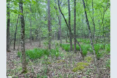 00 Wingo Road, Wellford, SC 29385 - Photo 4