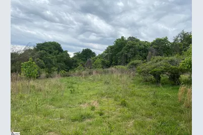00 Wingo Road, Wellford, SC 29385 - Photo 6