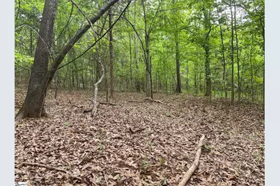 00 Wingo Road, Wellford, SC 29385 - Photo 2