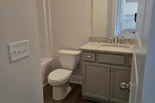 335 Alyssa Lndg Dr, Fountain Inn, SC 29644 - Photo 10