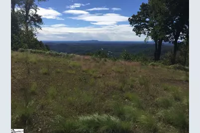 1511 Panther Park Trail, Travelers Rest, SC 29690 - Photo 1