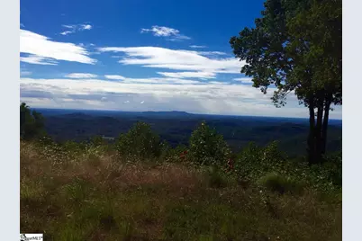 1511 Panther Park Trail, Travelers Rest, SC 29690 - Photo 4