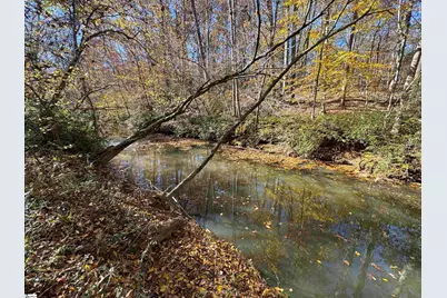 220 Wildwood Farms Road, Gray Court, SC 29645 - Photo 44
