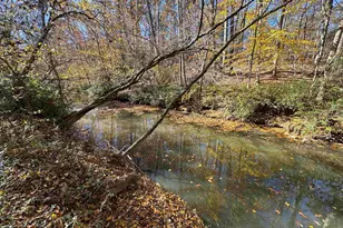 220 Wildwood Farms Rd, Gray Court, SC 29645 - Photo 44