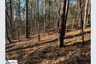Mountain Mint Way, Salem, SC 29676 - Photo 10