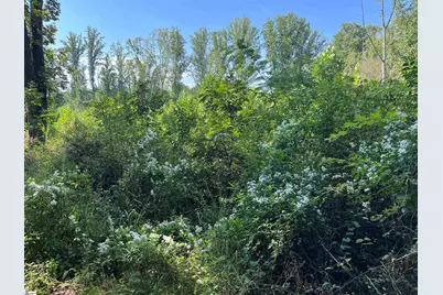 00 Porter Street, Wellford, SC 29385 - Photo 4