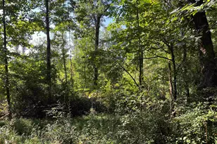 00 Porter St, Wellford, SC 29385 - Photo 1