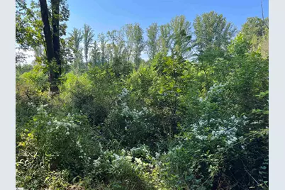 00 Porter Street, Wellford, SC 29385 - Photo 6