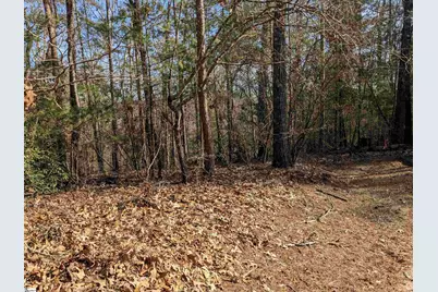 0 Sourwood Bench Court, Salem, SC 29676 - Photo 6