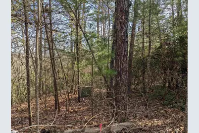 0 Sourwood Bench Court, Salem, SC 29676 - Photo 10