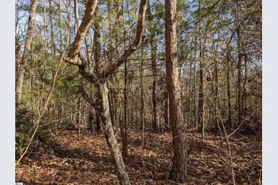 0 Sourwood Bench Court, Salem, SC 29676 - Photo 8