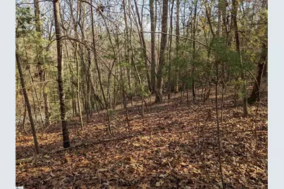 0 Sourwood Bench Court, Salem, SC 29676 - Photo 12
