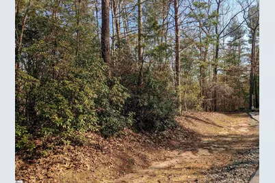0 Sourwood Bench Court, Salem, SC 29676 - Photo 4
