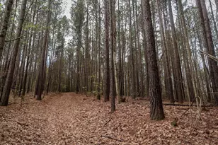 23 Belk Rd, Travelers Rest, SC 29690 - Photo 1