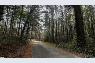 23 Belk Road, Travelers Rest, SC 29690 - Photo 6