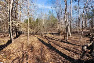 365 Patterson Rd, Spartanburg, SC 29307 - Photo 26