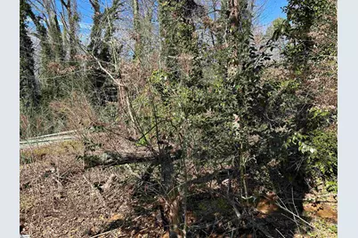 0 Forest Hills Drive #Lot 46, Gaffney, SC 29340 - Photo 2