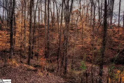 002 Blue Heron Cove, Abbeville, SC 29620 - Photo 4