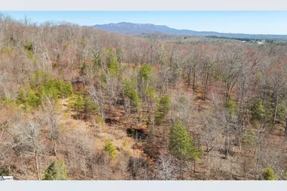 00 Burns Road, Travelers Rest, SC 29690 - Photo 10