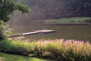 187 Meadow Brook Ln, Pickens, SC 29671 - Photo 26