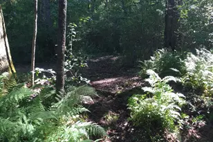 187 Meadow Brook Ln, Pickens, SC 29671 - Photo 34