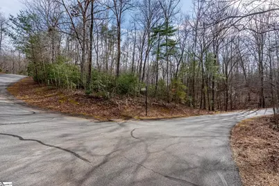 00 Alsace Way, Travelers Rest, SC 29690 - Photo 14