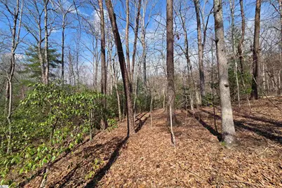 00 Alsace Way, Travelers Rest, SC 29690 - Photo 6