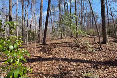 00 Alsace Way, Travelers Rest, SC 29690 - Photo 4