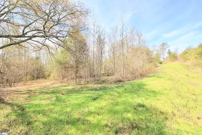 390 Old Mill Road, Chesnee, SC 29323 - Photo 2