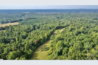 390 Old Mill Road, Chesnee, SC 29323 - Photo 6