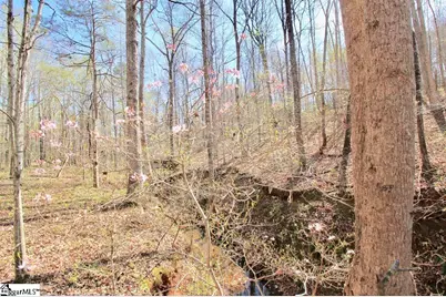 390 Old Mill Road, Chesnee, SC 29323 - Photo 24