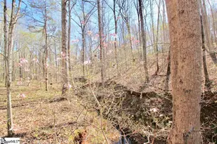 390 Old Mill Rd, Chesnee, SC 29323 - Photo 24