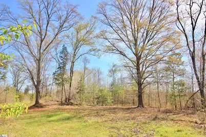 390 Old Mill Road, Chesnee, SC 29323 - Photo 16