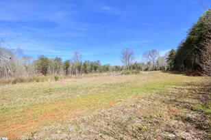 390 Old Mill Rd, Chesnee, SC 29323 - Photo 20