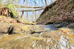 390 Old Mill Rd, Chesnee, SC 29323 - Photo 26