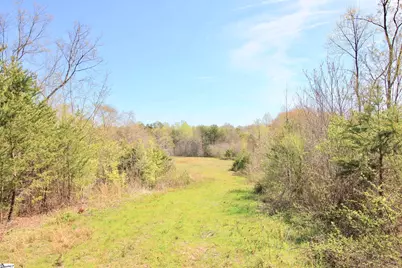 390 Old Mill Road, Chesnee, SC 29323 - Photo 18
