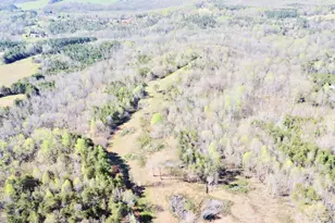 390 Old Mill Rd, Chesnee, SC 29323 - Photo 10