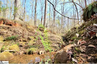 390 Old Mill Road, Chesnee, SC 29323 - Photo 28