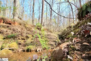 390 Old Mill Rd, Chesnee, SC 29323 - Photo 28