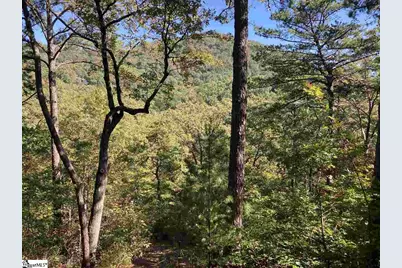 19 Foggy Ridge Way, Travelers Rest, SC 29690 - Photo 4