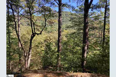 19 Foggy Ridge Way, Travelers Rest, SC 29690 - Photo 2