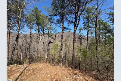 19 Foggy Ridge Way, Travelers Rest, SC 29690 - Photo 1